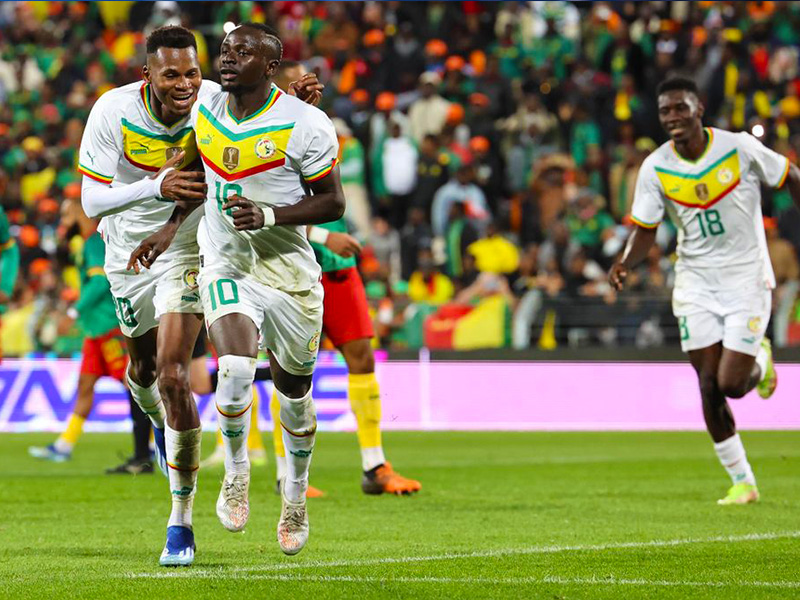 Soi kèo Senegal vs Cameroon lúc 0h00 ngày 20/1/2024