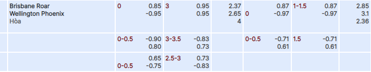 Tỷ lệ kèo Brisbane Roar vs Wellington