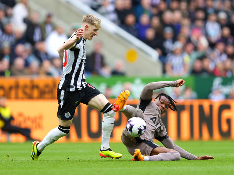 Soi kèo Newcastle vs Tottenham lúc 19h30 ngày 1/9/2024