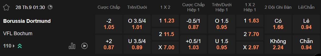 Tỷ lệ kèo Dortmund vs Bochum