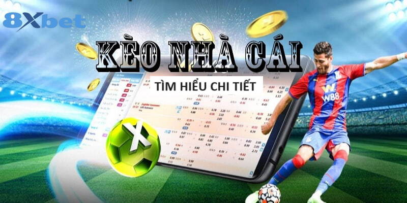 review-nha-cai-8xbet